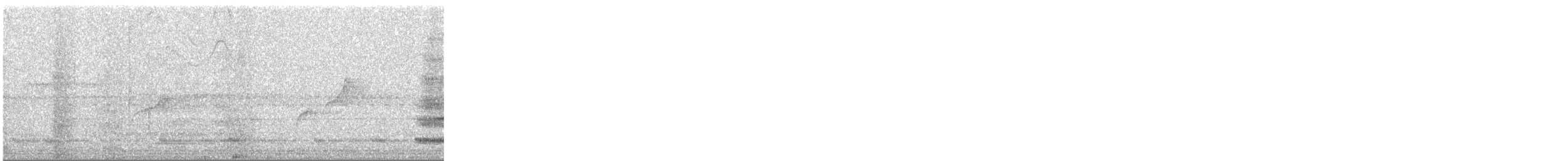 Gray-bellied Spinetail - ML645569267