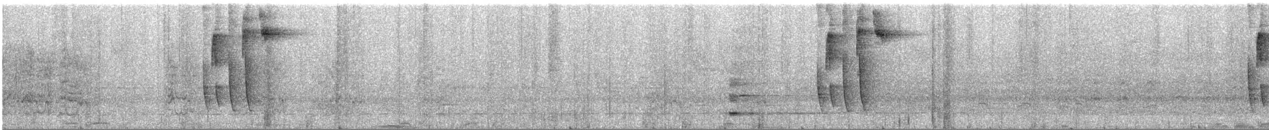 Such's Antthrush - ML645570084