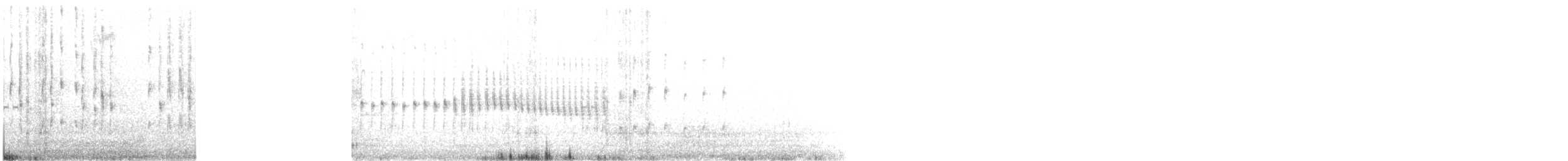 Cactus Canastero - ML645570510