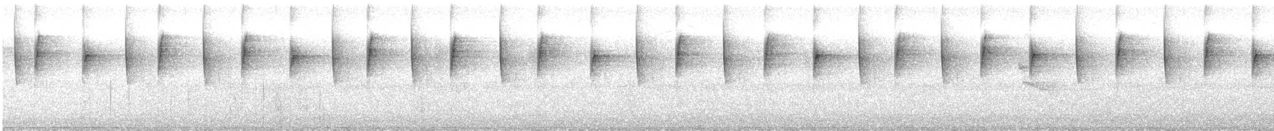 talassinkolibri - ML645570839