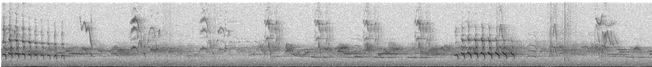 American Robin - ML645571738