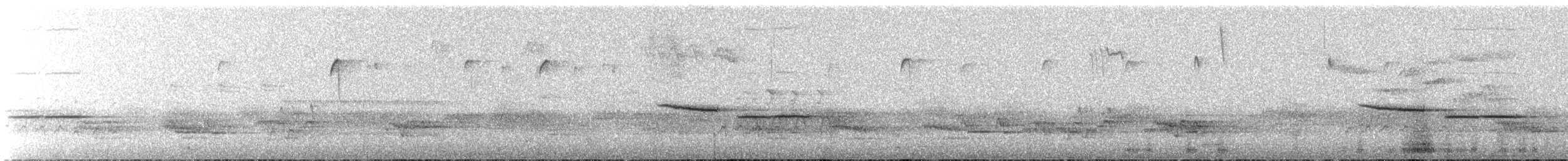 Black-capped Chickadee - ML645571752