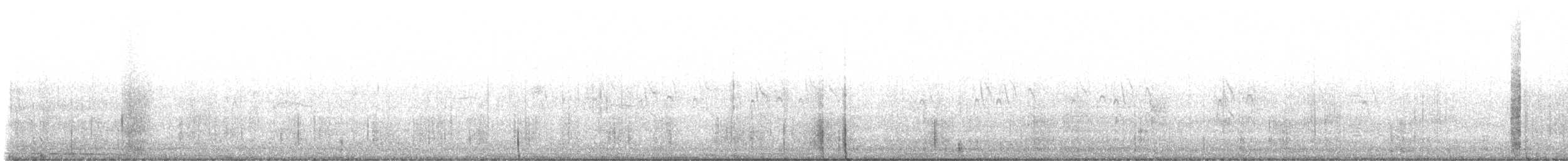 brunhettespettmeis - ML645572225