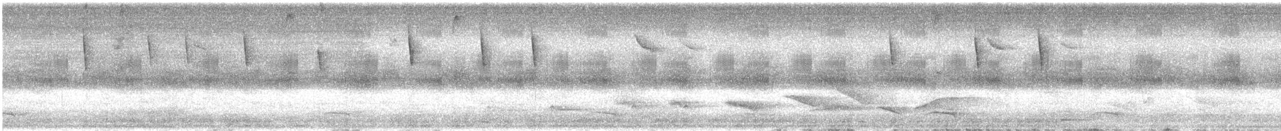 tupikolibri - ML645573409