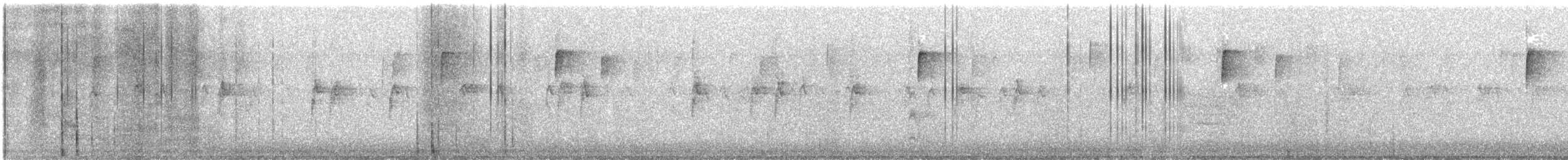 Song Sparrow - ML645574903