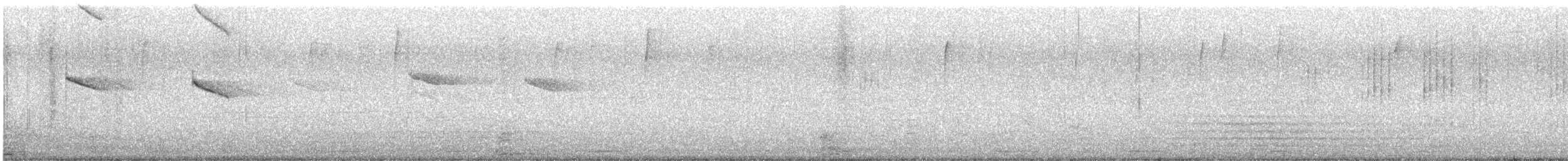 Amazilia Hummingbird - ML645575047