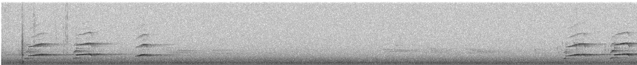 Pygargue à tête blanche - ML645575378