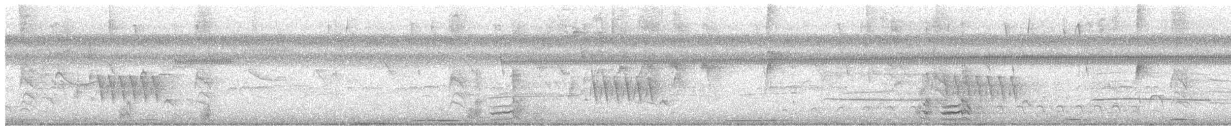 Yellow-crowned Amazon - ML645575702