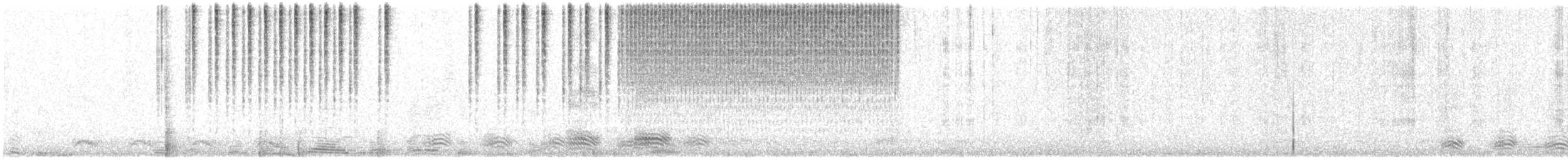 Handsome Meadow Katydid - ML645575744