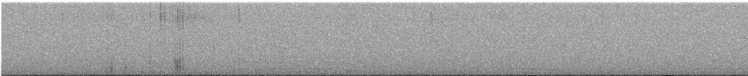 výreček americký - ML645575896