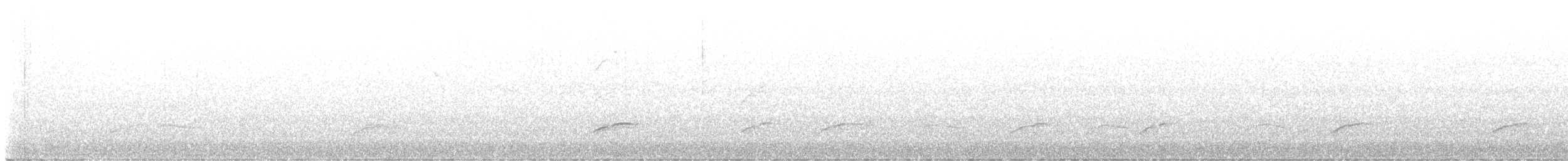 Swainson's Thrush - ML645575906