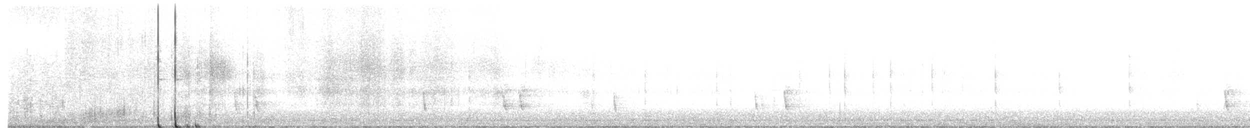 Hermit Thrush - ML645576178