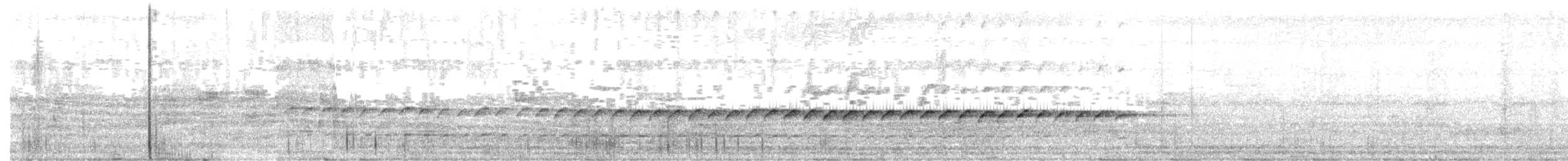 アオサンコウチョウ - ML645576696