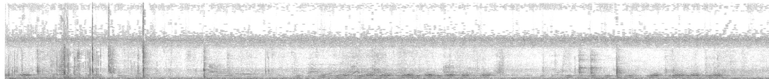 マレーモリフクロウ - ML645576735