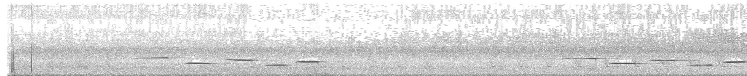 Palawan Babbler - ML645576823