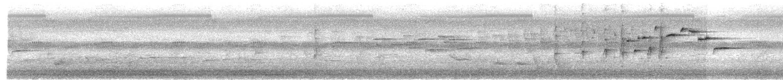 Gray Fantail (alisteri) - ML645577170