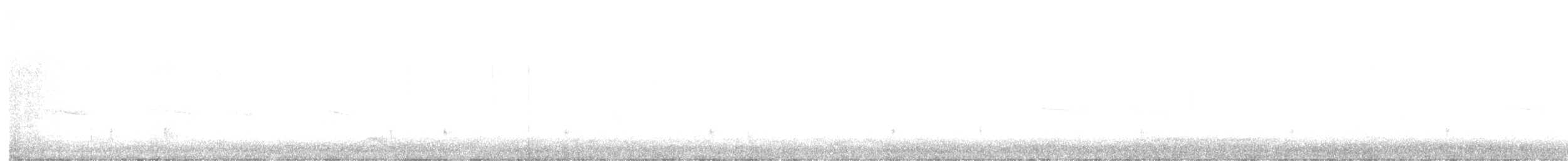 Hermit Thrush - ML645577342