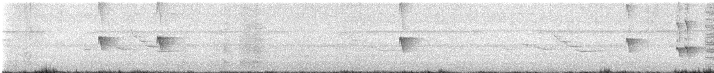 Black Phoebe - ML645577355