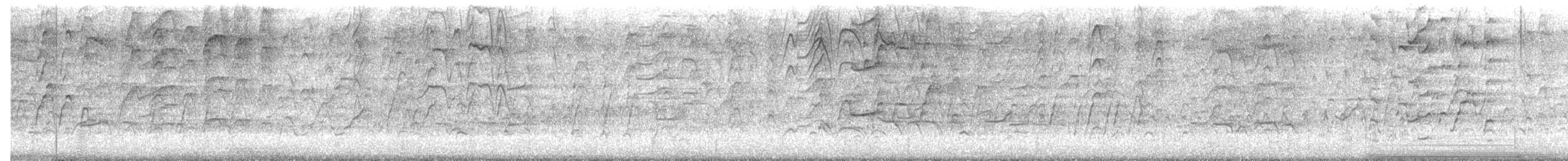 Black-bellied Whistling-Duck - ML645577866