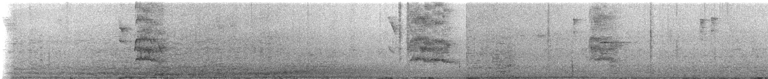 Maroon-bellied Parakeet - ML645578158