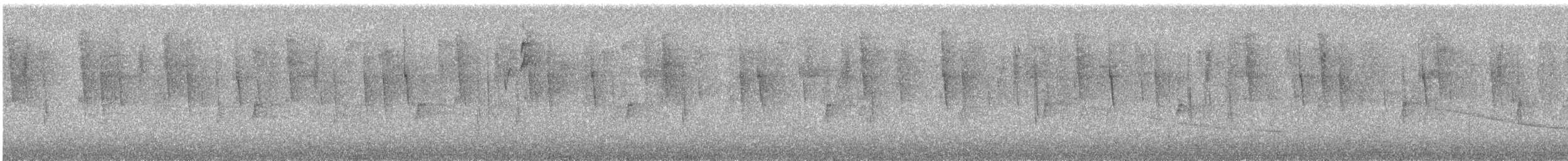 Mexican Violetear - ML645578186