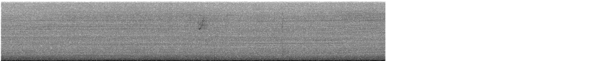 new world sparrow sp. - ML645578714