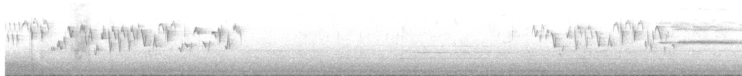 Pacific Wren - ML645578999