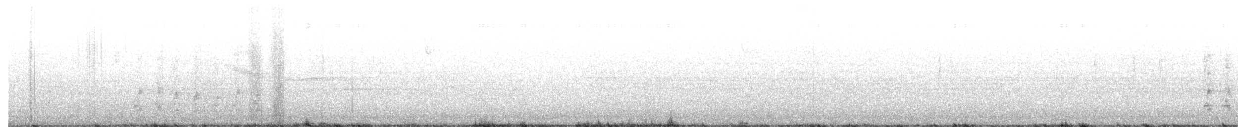 Steller's Jay - ML645579060