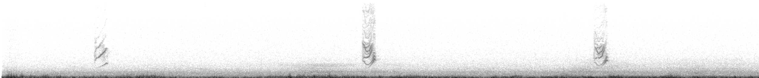 House Finch - ML645579345