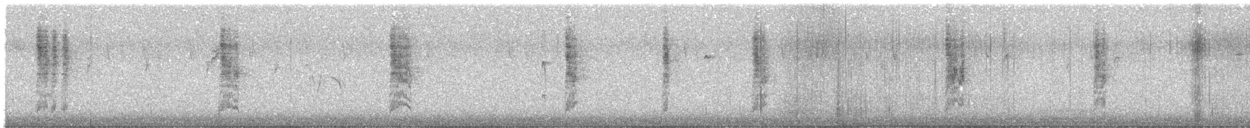 Marsh Wren - ML645579619