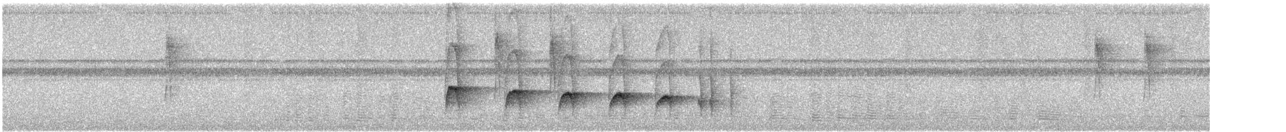 Olivaceous Woodcreeper - ML645580286