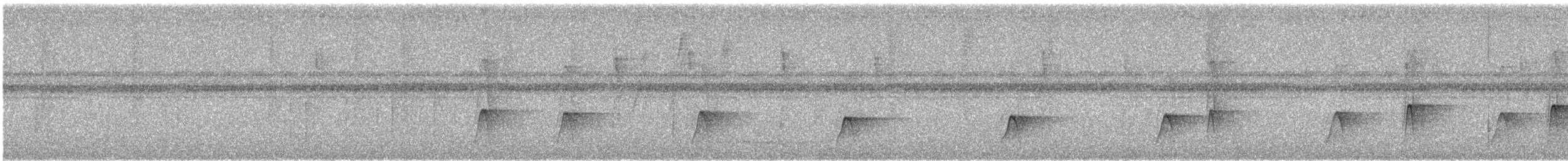 Olivaceous Woodcreeper - ML645580287