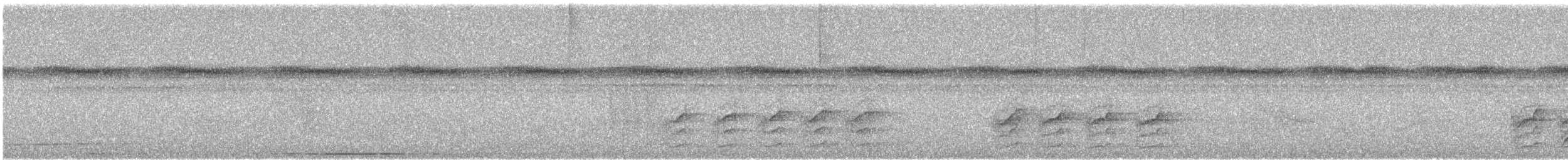 Pale-bellied Tyrant-Manakin - ML645580384