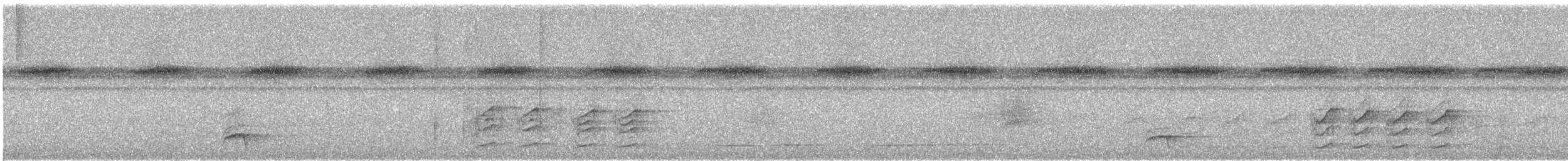 Pale-bellied Tyrant-Manakin - ML645580385