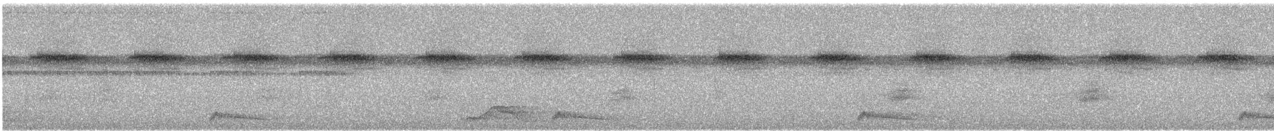 Ocellated Poorwill - ML645580386