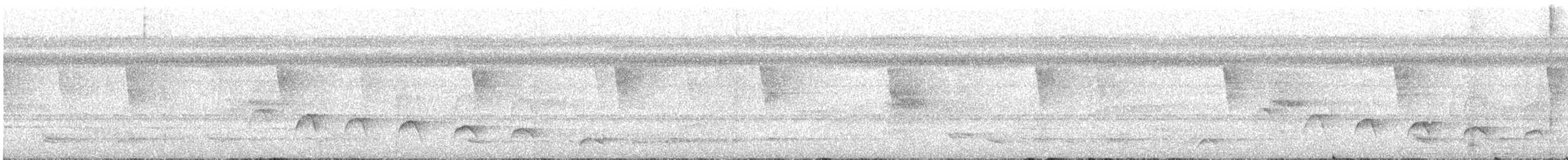 White-flanked Antwren - ML645580398