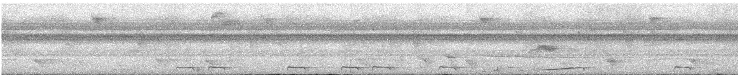 Purple-throated Fruitcrow - ML645580399