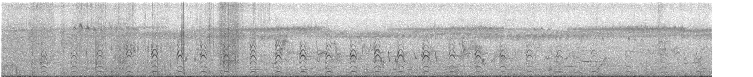 australstylteløper - ML645580624