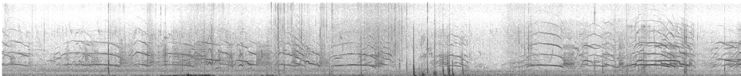 gulstjertkakadu - ML645580641