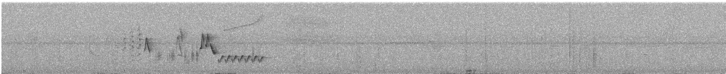 Southern House Wren - ML645580805