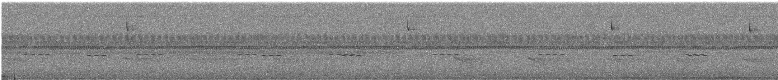 キマユヒメドリ - ML645580869