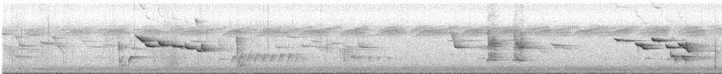 クレナイミツスイ - ML645580885