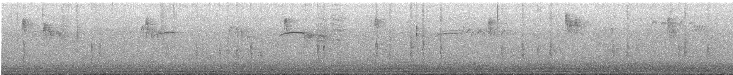 Западная сиалия - ML645580888