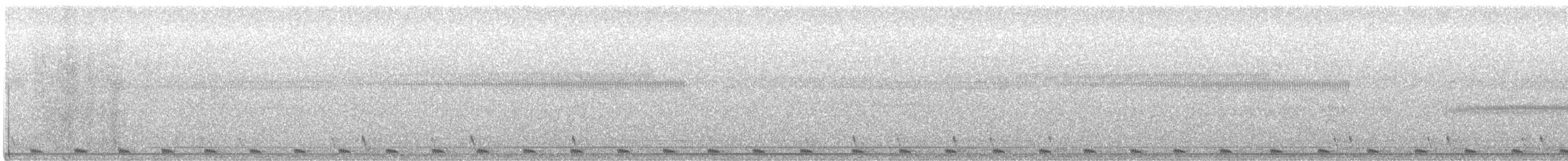 Длиннохвостый козодой - ML645580982