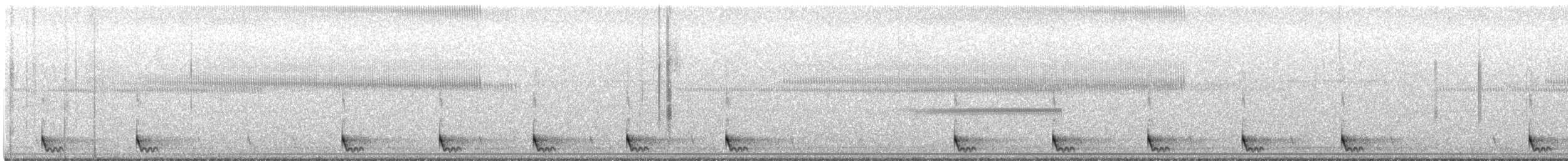 Длиннохвостый козодой - ML645580983