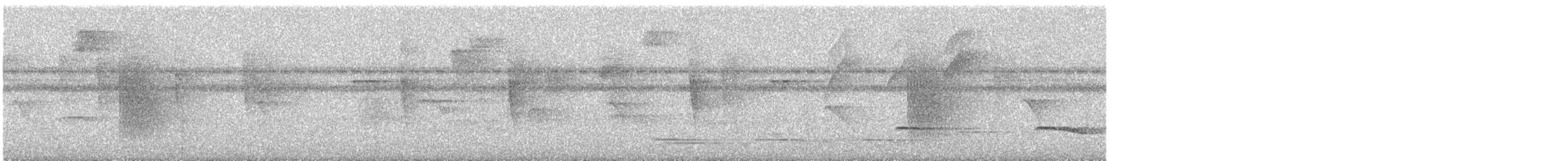 White-collared Manakin - ML645581187