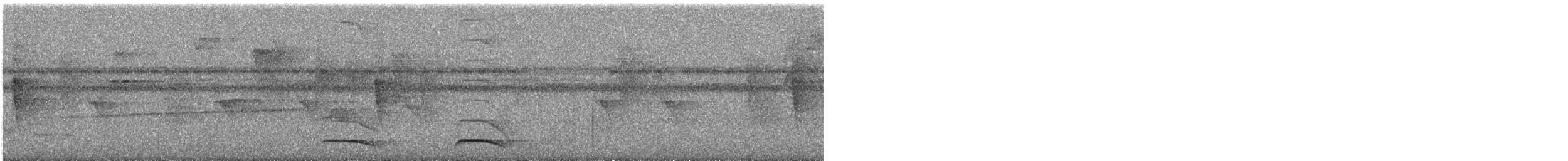 Ocellated Antbird - ML645581277