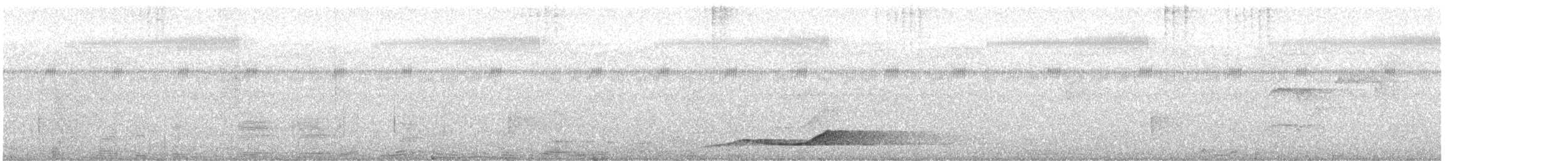 safirparadisfugl - ML645581580