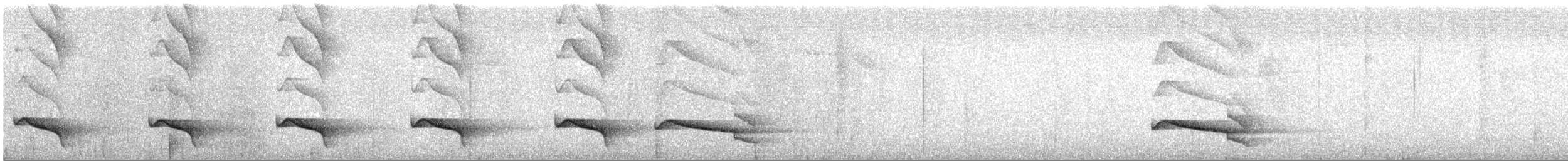 Ocellated Tapaculo - ML645581754