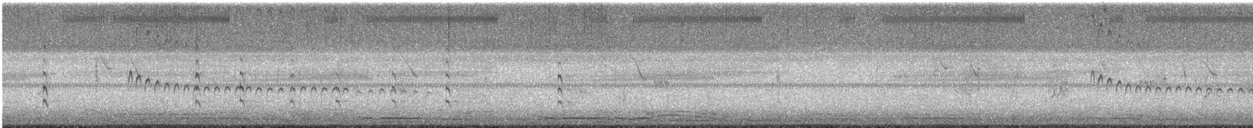 Langschwanz-Drosselhäherling - ML645581799